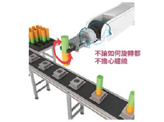 Robot Rotary - RJAC series
