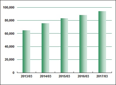 Net Sales